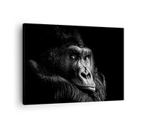 ARTTOR Tableau sur Toile Décoratif 70x50 cm Afrique Animaux - 5007