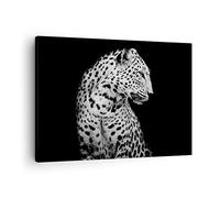 ARTTOR Tableau sur Toile Décoratif 70x50 cm Afrique Noir et Blanc - 4919 | Léopard Panthère Chat Impression sur Toile Décoration Murale Art Mural Toile Imprimée Salon Chambre Cuisine ARTTOR
