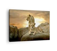 ARTTOR Tableau sur Toile Décoratif 70x50 cm Animaux - 2958 | Lions Ouest Soleils Impression sur Toile Décoration Murale Art Mural Toile Imprimée Salon Chambre Cuisine ARTTOR