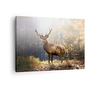 ARTTOR Tableau sur Toile Décoratif 70x50 cm Forêt Nature - 4452