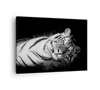 ARTTOR Tableau sur Toile Décoratif 70x50 cm Noir et Blanc Animaux - 4247
