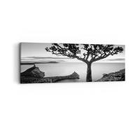 ARTTOR Tableau sur Toile Décoratif 90x30 cm Botanique Noir et Blanc - 4297