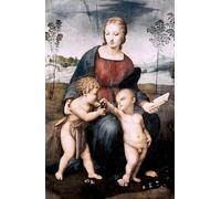 ARTXLXXBN Célèbre Affiches Imprimées Portrait Tableaux Lady Del Cardellino par Raffaello Sanzio Raphael Art Mural Classique Pour les Décorations pour la Maison 60x90cm
