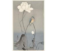 ARTXLXXBN Célèbre Art Mural Toile Impression Toile Deux oies au bananier par Ohara Koson Images Abstraites Pour la Décoration du Salon 60x90cm