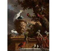 ARTXLXXBN Célèbre Imprimer Affiche Toile Photos D'Art la Ménagerie de Melchior De Hondecoeter Tableaux Posters Pour la Décoration de Bureau 60x90cm