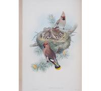 ARTXLXXBN De Célèbres Tableaux Affiches Imprimées Portrait Tableaux Assiette Animal Bird Ampelis Garrulus des oiseaux de Grande-Bretagne par John Gould Pour les Décorations pour la Maison 60x90cm