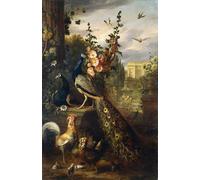 ARTXLXXBN De Célèbres Tableaux Affiches Imprimées Portrait Tableaux Deux paons sur un socle en pierre dans un jardin par Jakob Bogdani ou Bogdany Pour les Décorations pour la Maison 60x90cm