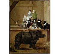 ARTXLXXBN De Célèbres Tableaux Imprimer Affiche Toile Photos D'Art Exposition du rhinocéros indien Clara par Pietro Longhi Tableaux Posters Pour la Décoration de Bureau 60x90cm