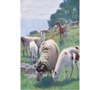 ARTXLXXBN De Célèbres Tableaux Imprimer Affiche Toile Photos D'Art Lama de la faune du monde par Wilhelm Kuhnert Tableaux Posters Pour la Décoration de Bureau 60x90cm