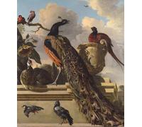 ARTXLXXBN De Célèbres Tableaux Tableaux Sur Toile Moderne Mur Art Oiseaux dans le parc de Melchior De Hondecoeter Animaux Art Posters Pour la Décoration de la Chambre à Coucher 60x90cm