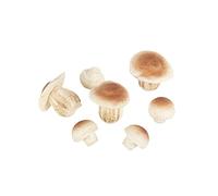 ARTYFETES 7 Champignons en Mousse 3 cm - 6,5 cm - Champignons artificiels - Autres décos - Adulte - Noël