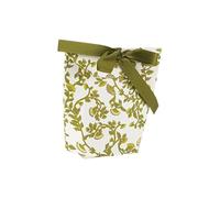 Artyfêtes Générique - 10 BOITES CARTON JARDIN BOTANIC 8.5X9X3.5CM VERT