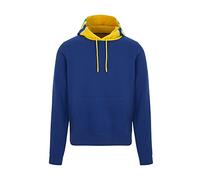 Artyon Senna AS FW Sweat à capuche rayé pour homme