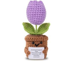 Aruigu Pocket Hug - Tulipe positive avec carte allemande - Cadeau d'encouragement positif pour le rétablissement et la rentrée des classes - Cadeau de fête des mères