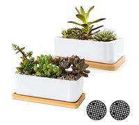 ARVINKEY Lot de 2 petits pots de fleurs en céramique blanche pour plantes grasses d'intérieur et d'extérieur, pour cactus, bonsaï, pots de fleurs avec trou de drainage et bol en bambou (sans plante)