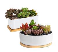 Arvinkey Lot de 2 petits pots de fleurs rectangulaires en céramique pour plantes grasses avec trou de drainage et plateau en bambou