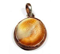 Arwacraft Gomti Chakra Gomti Shila de qualité très rare, 1 pièce - B09CMPCBMRNAMZ