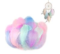 ARYIMYDP 200 pièces Plumes Colorées, Plume Loisirs Créatifs, Plumes d'oie, Plumes Décoratives, Plume Naturelles pour Attrape-Rêves, Boucles d'oreilles, Mariage, Festival, Plumes de Coiffure, Plume
