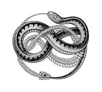 ARYU 3 Fleur à Base De Plantes Bras Jus Tatouage Autocollants Gradient Non RéFléChissant Semi-Permanent MâLe Fleur FoncéE Bras Femelle ImperméAble à L’Eau