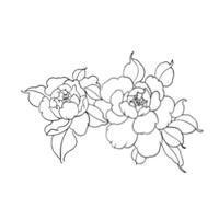 ARYU Autocollant De Tatouage De Couleur Pivoine Rose Blanche, ImperméAble Et Durable Pour Femmes