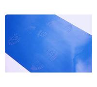 AS ADESIVI SICUREZZA Tapis décontaminant avec bactéricide à scratch, 90 x 60 cm, paquet 30 jours, Bleu, Sol dur, Béton