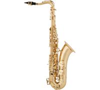 aS Arnolds & Sons ATS-100 Saxophone ténor