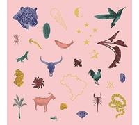 As Cancoes De Ze Manoel: Delirio De Um Romance A