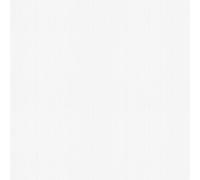 AS Creation Papier peint Collection Meistervlies 932419 vinyle expansé