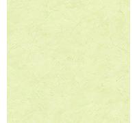 AS Creation Papier Peint Collection Styleguide Naturel 2019 992543 Uni