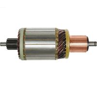 AS-PL SA0069 Induit, démarreur