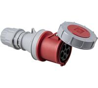 AS Schwabe 400 V 63 A 5-polig 6 h IP67 60428 Femelle CEE 63 A 5 pôles 400 V 1 pc(s)