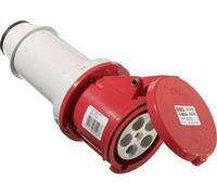 as - Schwabe 60428 60428 CEE Kupplung 63 A 5polig 400 V (60428)