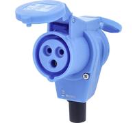 AS Schwabe 60474 Femelle coudée CEE 16 A 230 V 1 pc(s)