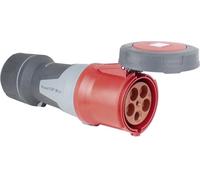 AS Schwabe 61429 Femelle CEE 125 A 400 V 1 pc(s)