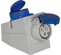 AS Schwabe 61449 CEE Prise murale 16 A 230 V 1 pce