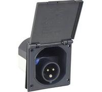 AS Schwabe 61492 Mâle CEE 16 A 230 V G