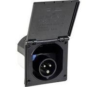 AS Schwabe 61493 Mâle CEE 16 A 230 V G