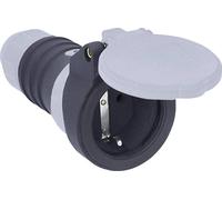 AS Schwabe Fiche électrique femelle avec terre 62311 230 V IP54 noir/gris