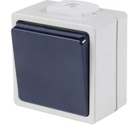 AS Schwabe Interrupteur de surface 62450 – Arrêt/bascule, 230 V 10 A, 2 entrées de câble, IP54