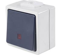 AS Schwabe 62453 Bouton-poussoir avec éclairage IP54 gris