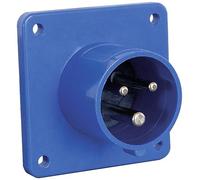 AS Schwabe 61014 Prise mâle CEE 16 A 230 V 1 pc(s)