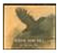 As the crow flies CD