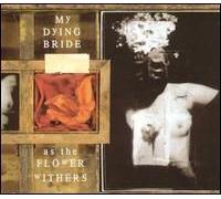 As The Flower Withers