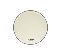 AS12CO - 12'' Alverstone Sablée - 1 Pli - 10 Mil Peaux de tom 12