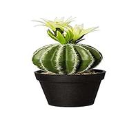 ASA 26 Fausse Plante Artificielle en Plastique Vert