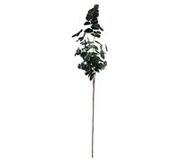 ASA 66498444 deko Branche d'eucalyptus