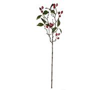 ASA Selection Branche d'églantier décorative rouge L 66 cm