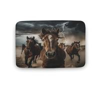 asbwuo Tapis de Bain Western Nature Desert Horse, Wildlife Cloud, Tapis de Bain antidérapant, Tapis de Sol en Microfibre Douce pour Douche, lavabo, entrée, 50,8 x 81,3 cm