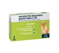 Ascatryl grand chien boite de 2 comprimés
