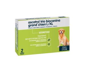 Ascatryl grand chien boite de 2 comprimés